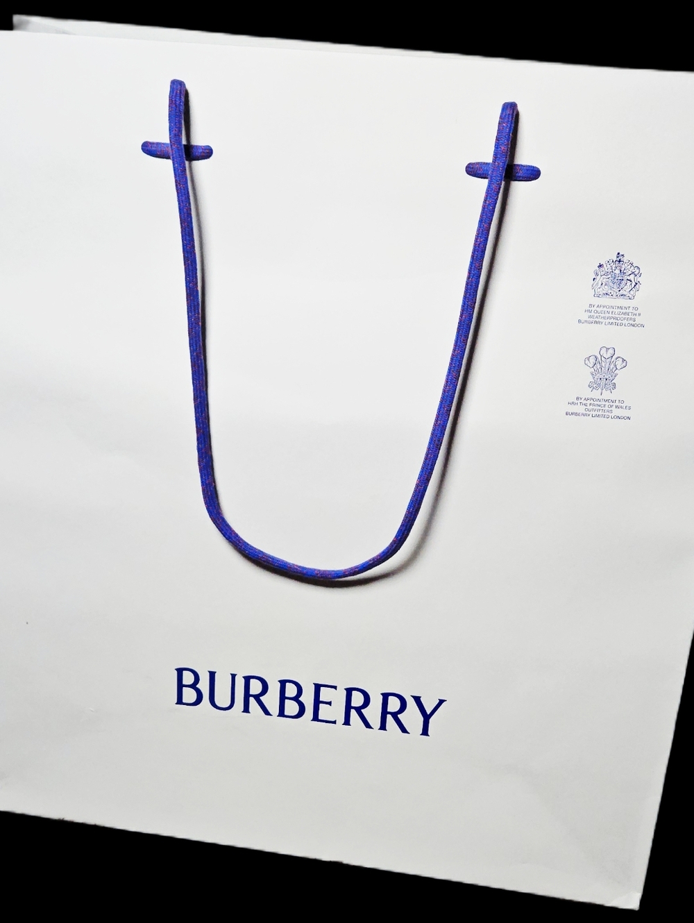NEW Burberry XL White Blue Paper Shopping Bag 16.5" Gift Tote Handbag Storage - Picture 2 of 15